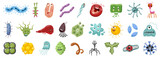 Fototapeta  - Bacteria of virus vector cartoon set icon.Vector illustration infection germ on white background.Isolated set icon bacteria of virus.