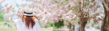 Spring Season With Full Bloom Pink Flower Travel Concept From Backside Of Beauty Asian Woman With Wear Summer Hat Enjoy With Sight Seeing Sakura Or Cherry Blossom With Soft Focus Flower Background