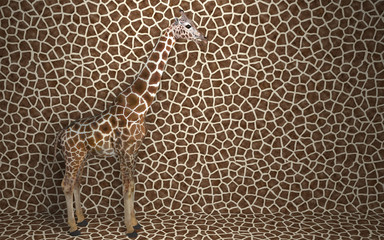 wild animal giraffe standing indoors merging with spotted background with a pattern of the skin of a