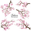 Set of blooming sakura branches. Vector illustration.