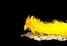 Yellow Ostrich Feathers On Black Background With Silver Beads. Mardi Gras Concept. Festive Background For Projects. Close-up