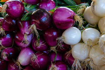 red and white onions on the market