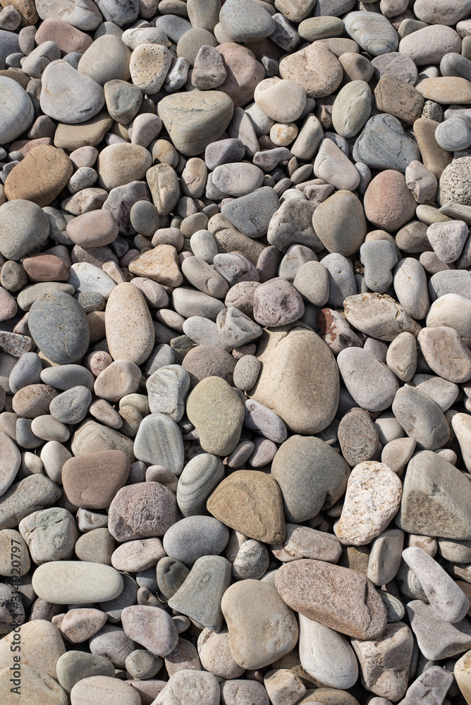 Sassi Cache Spiaggia di sassi chiari Stock Photo | Adobe Stock