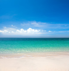 Wall Mural - beautiful beach and tropical sea