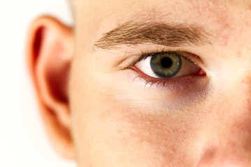 Wall Mural - young male face half bald isolated portrait close up on white background