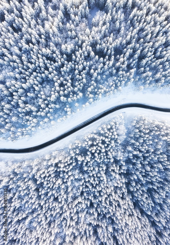 Natural winter landscape from air. Aerial view on the road and forest at the winter time. Forest under snow. Winter travel - image - obrazy, fototapety, plakaty 