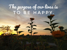 Inspirational Motivational Quote - The Purpose Of Our Lives Is To Be Happy. With Sunset Sunrise Background Over Sunflower Garden In Field.