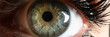 Leinwandbild Motiv Human green eye supermacro closeup background. Check vision concept