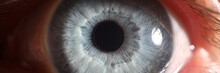 Blue Eye Male Human Super Macro Closeup. Healthy Vision Test Concept