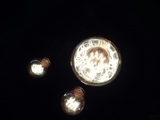 bulb on black