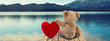 Valentinsgeschenk - Teddy mit Herz am Steg