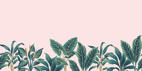 Tropical vintage plants floral botanical seamless border pink background. Exotic jungle wallpaper.