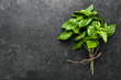 Bunch of basil with fresh green basil leaves on dark background