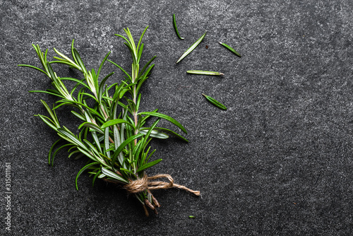 Cuadros en Lienzo Green fresh rosemary plant on dark background