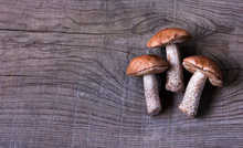Three Edible Mushrooms Lie On A Wooden Board