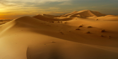  sunset on sand dune in the sahara desert 