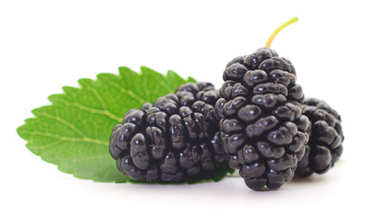 Wall Mural - Closeup shot of fresh blackberries.