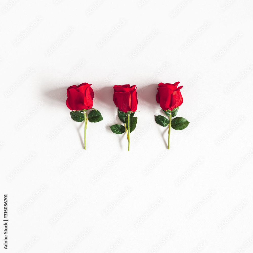 Flowers composition. Rose flowers on white background. Flat lay, top view - obrazy, fototapety, plakaty 