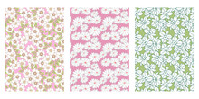 Japanese Line Art Cherry Blossom, White Flower, Tropical Flower Abstract Vector Background Collection