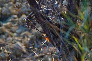 la natura nelle marche in inverno