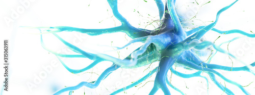 3d rendered illustration of a human nerve cell
