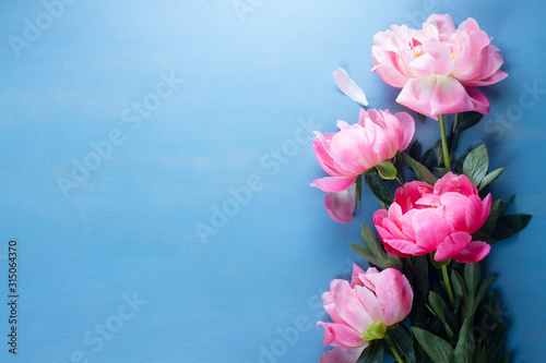 Fresh peonies on blue