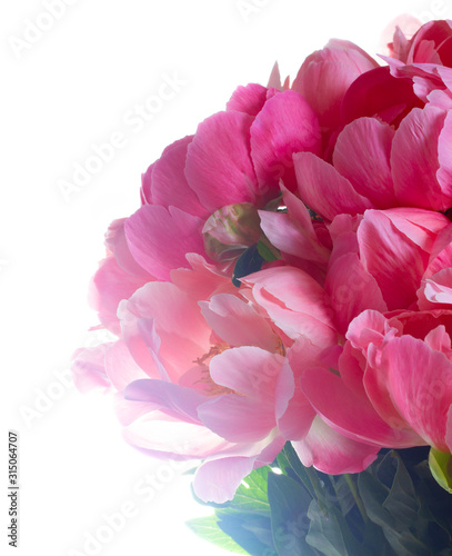 Fresh peony flowers