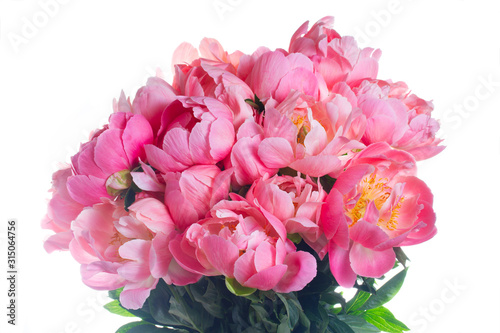 Fresh peony flowers