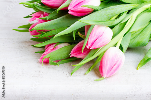 Pink fresh tulips