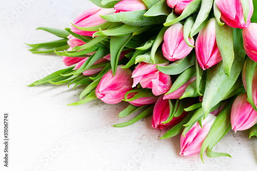 Pink fresh tulips