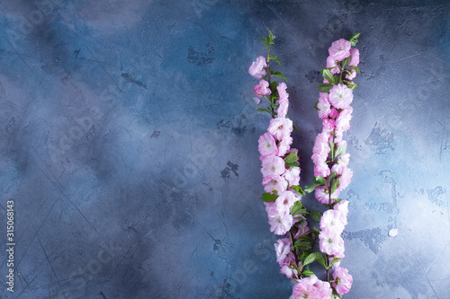 Spring tree flowers