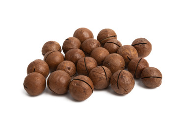 Sticker - Macadamia Walnut Isolated