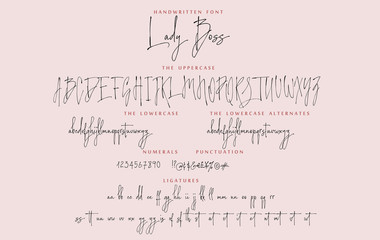 handwritten script font vector alphabet lady boss set