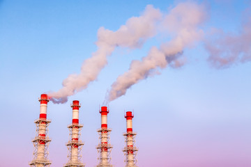 Wall Mural - Industrial concept. Smoking chimneys or factory pipes against the blue twilight sky