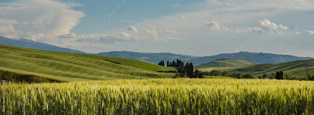 Tuscany - Landscape panorama, hills and meadow, Toscana - Italy - obrazy, fototapety, plakaty 