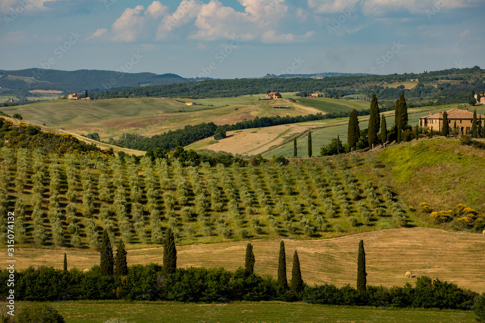 Tuscany - Landscape panorama, hills and meadow, Toscana - Italy - obrazy, fototapety, plakaty 