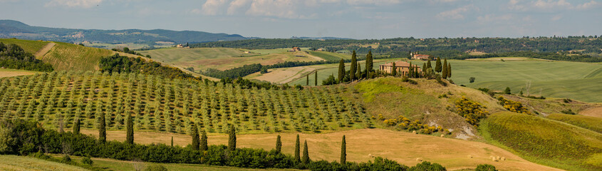 Wall Mural - Tuscany - Landscape panorama, hills and meadow, Toscana - Italy