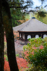 Poster - Beautiful fall colors in Ginkaku-ji Silver Pavilion during the autumn season in Kyoto