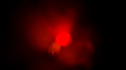 Poster - color highlight on a black background. beautiful light for design