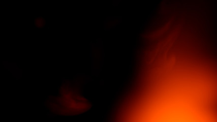 Poster - color highlight on a black background. beautiful light for design