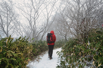 Canvas Print - Mt. Ishizuchi in Winter.