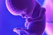 3d rendered abstract illustration of a fetus - week 15