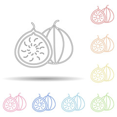 Poster - Figs in multi color style icon. Simple thin line, outline vector of fruit icons for ui and ux, website or mobile application