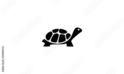 Cuadros en Lienzo vector illustration of an turtle