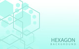Fototapeta Abstrakcje - Hexagons Abstract Background With Geometric Shapes. Science, Technology and Medical Concept. Futuristic Background In Science Style. Graphic Hex Background For Your Design. Vector Illustration