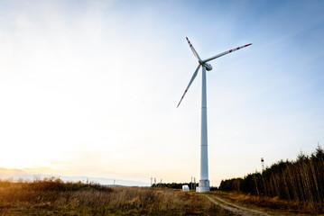 Wind turbines  for electric power production.