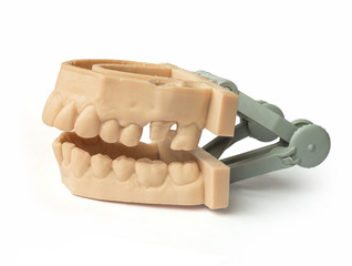 Teeth printed by 3d printer. Upper and lower jaw of adult. Used to create aligners, night guards, braces, crowns, dentures and surgical guides, Isolated white background.