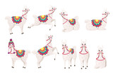 Fototapeta Przeznaczenie - Set of cute llama wearing decorative saddle with patterns cartoon animal design flat vector illustration isolated on white background side view