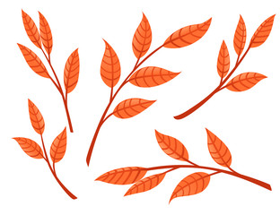 Wall Mural - Set of orange autumn leaves on branches flat vector illustration isolated on white background