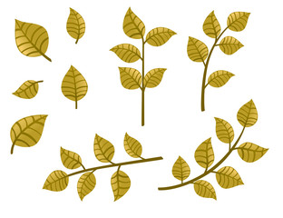 Wall Mural - Set of green autumn leaves on branches flat vector illustration isolated on white background